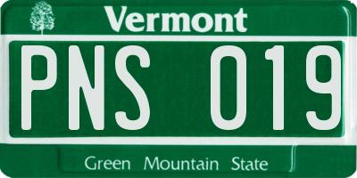 VT license plate PNS019
