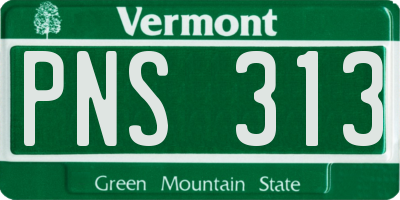 VT license plate PNS313