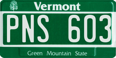 VT license plate PNS603