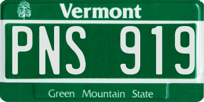 VT license plate PNS919
