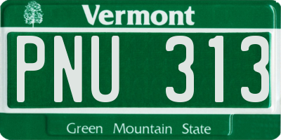 VT license plate PNU313