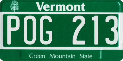 VT license plate POG213