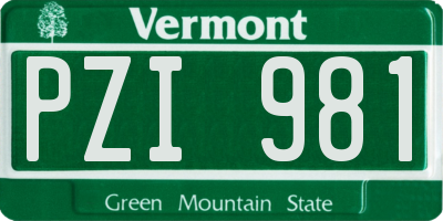 VT license plate PZI981