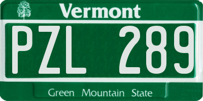 VT license plate PZL289