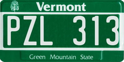 VT license plate PZL313
