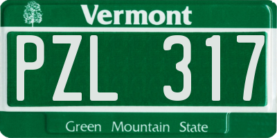 VT license plate PZL317