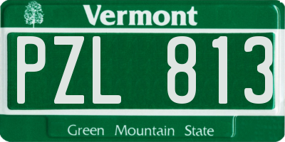 VT license plate PZL813