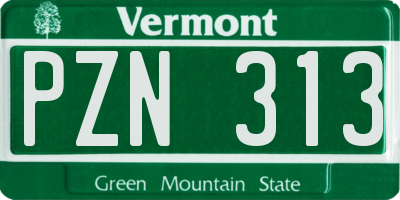 VT license plate PZN313