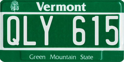 VT license plate QLY615
