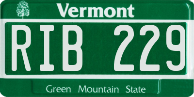 VT license plate RIB229