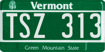 VT license plate TSZ313