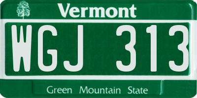 VT license plate WGJ313