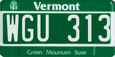 VT license plate WGU313