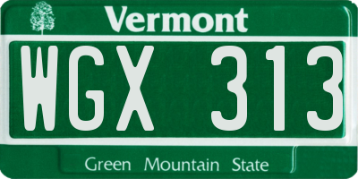 VT license plate WGX313