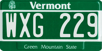 VT license plate WXG229