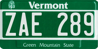 VT license plate ZAE289