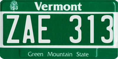 VT license plate ZAE313