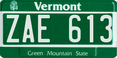 VT license plate ZAE613