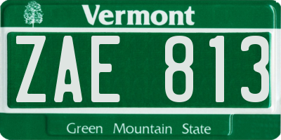 VT license plate ZAE813