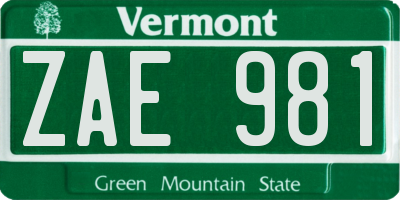 VT license plate ZAE981