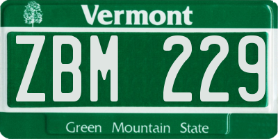 VT license plate ZBM229