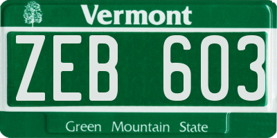 VT license plate ZEB603
