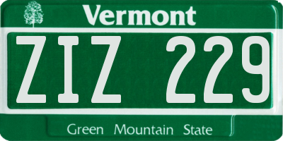 VT license plate ZIZ229