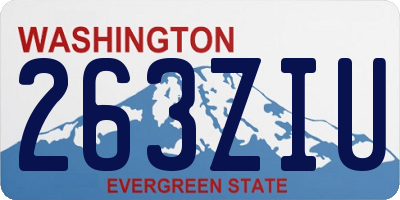 WA license plate 263ZIU