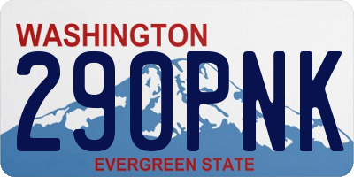 WA license plate 290PNK