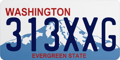 WA license plate 313XXG