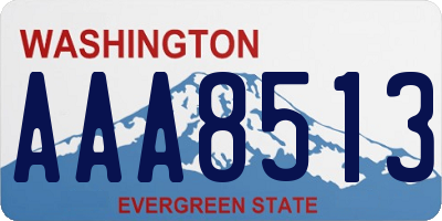 WA license plate AAA8513