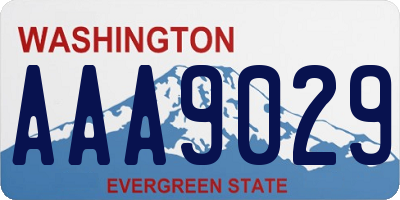 WA license plate AAA9029