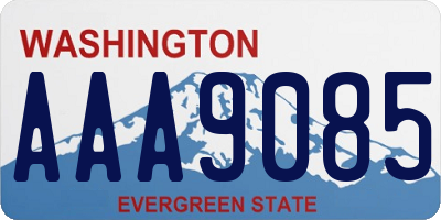 WA license plate AAA9085