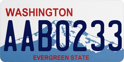 WA license plate AAB0233