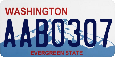 WA license plate AAB0307