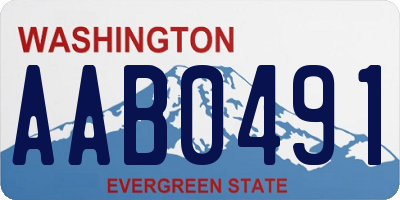 WA license plate AAB0491