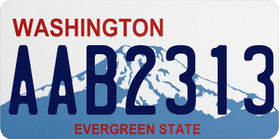 WA license plate AAB2313