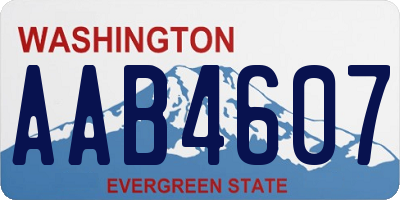 WA license plate AAB4607