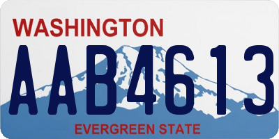 WA license plate AAB4613