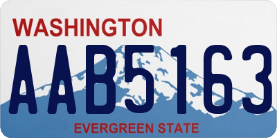 WA license plate AAB5163