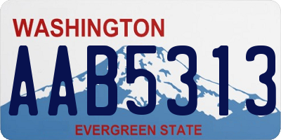 WA license plate AAB5313