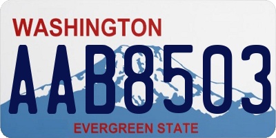 WA license plate AAB8503