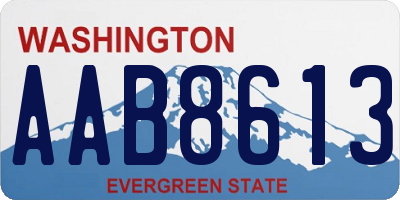 WA license plate AAB8613