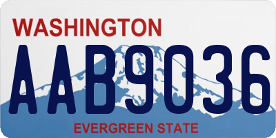 WA license plate AAB9036