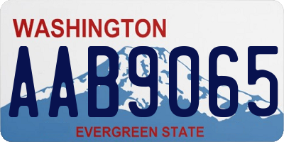 WA license plate AAB9065