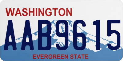 WA license plate AAB9615