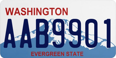 WA license plate AAB9901