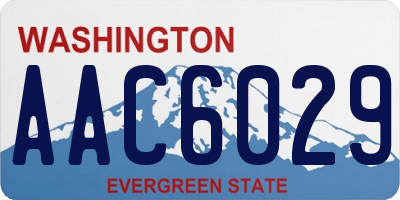 WA license plate AAC6029