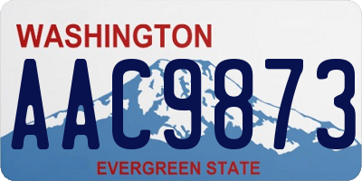 WA license plate AAC9873