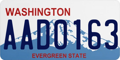 WA license plate AAD0163